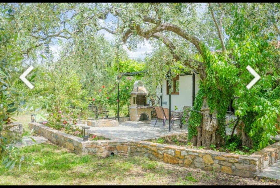 Chrisella Villa Skala Rachoni  Ngoại thất bức ảnh