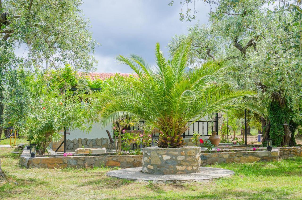 Chrisella Villa Skala Rachoni  Ngoại thất bức ảnh