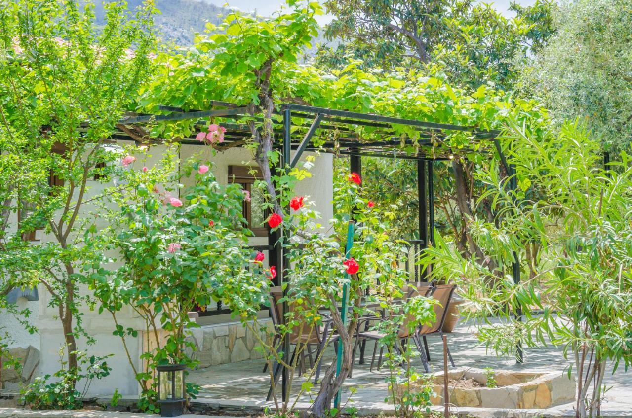 Chrisella Villa Skala Rachoni  Ngoại thất bức ảnh